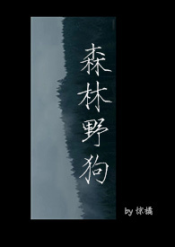 森林野外建房